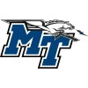中田纳西州立大学