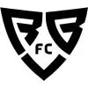 基辅反抗